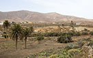 Fuerteventura