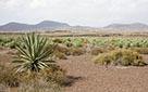 Fuerteventura