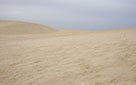 Fuerteventura