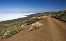 Tenerife