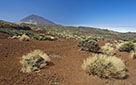 Tenerife