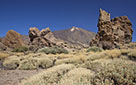 Tenerife
